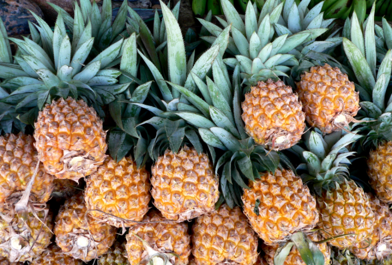 Per saperne di più: l’ananas