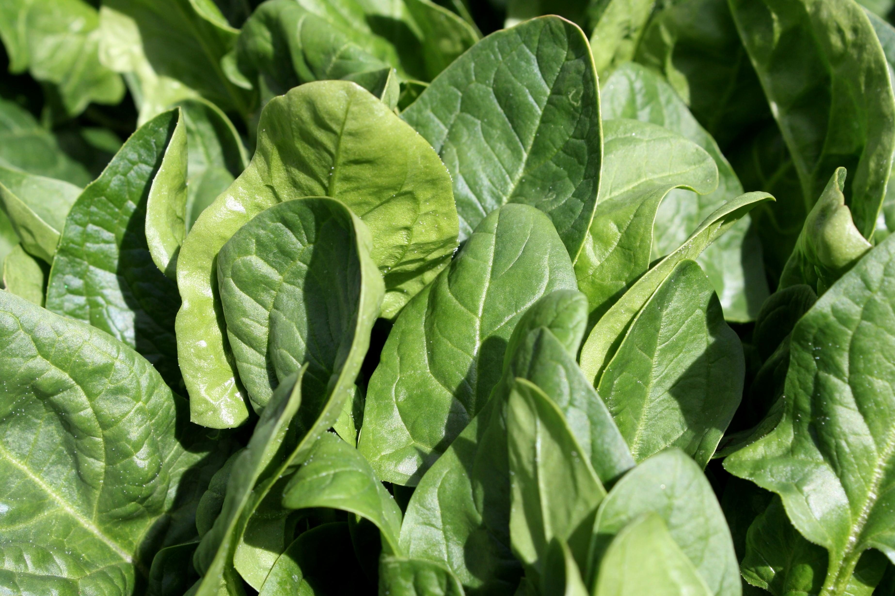 spinach