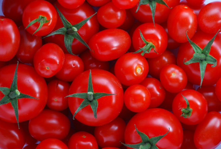 Per saperne di più: il pomodoro