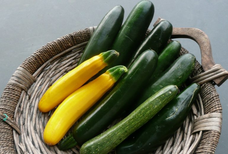 Per saperne di più: le zucchine