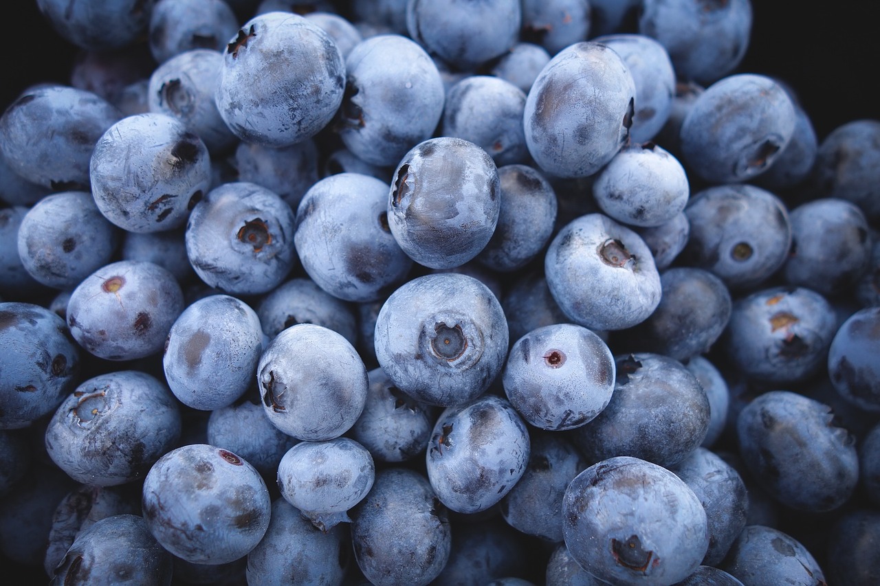 blueberries-690072_1280