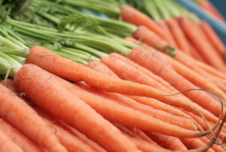 Per saperne di più: le carote