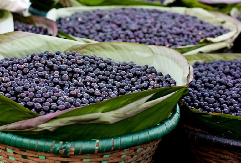 Per saperne di più: le bacche di Acai